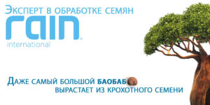 Rain International logo (rus)