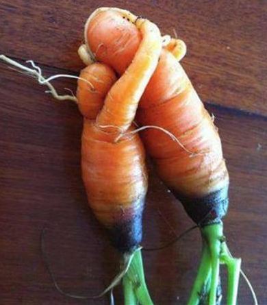 смешная морковка