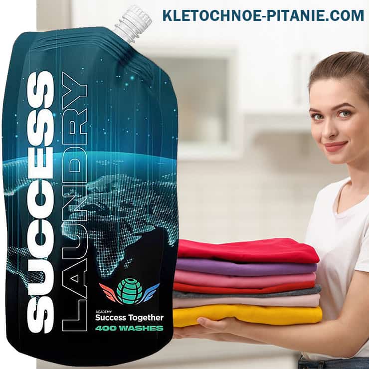 success laundry by bepic