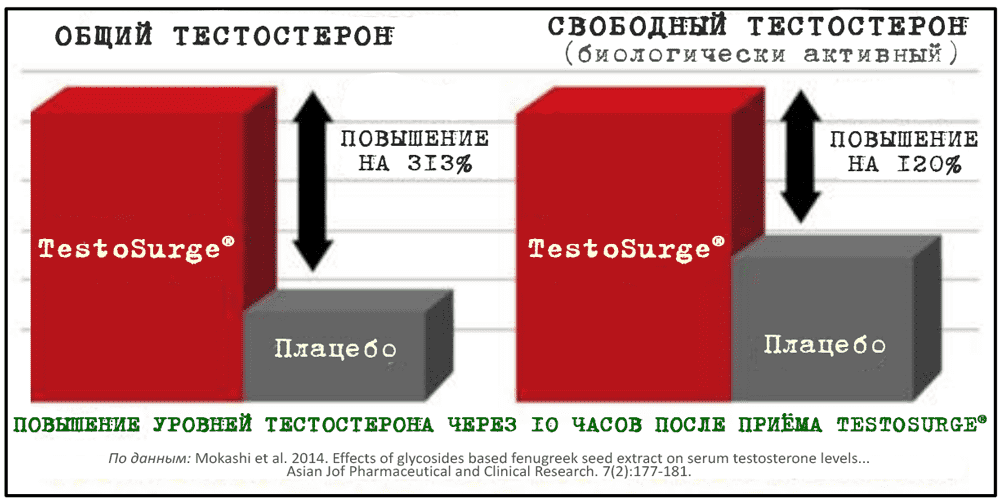 Результаты клинических исследований TestoSurge (ингредиент EPIC-T)